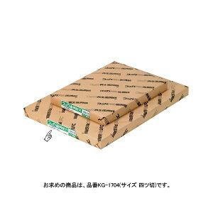 RbJĐp 4 100 KG-1704 piG݁E[E| [Epi  ItBXpi [ pi m[gEi p