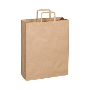 TANOSEE 【お徳用セット】 TANOSEE 紙手提袋 平紐 大ヨコ320×タテ400×マチ幅115mm 茶無地 1パック (50枚) 【×5セット】 【お徳用 まとめ買い お買い得 業務用 割引 セット販売】 文房具・事務用品