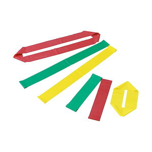 DLM レクトレループバンド 3色セット ダイエット・健康 健康器具 介護用品 リハビリ・レクリエーション 介護 シルバー 医療施設 介護施設 介護ケア ケア用品