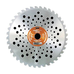 TRUSCO @p`bv\[ ʑ p 255×25.4mm n40 TBCJ-255 1  K[fjO K[fjOpi