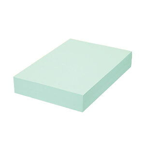 TANOSEE 【お徳用セット】 TANOSEE αエコカラーペーパーIIアクアブルー A4 1冊 (500枚) 【×5セット】 【お徳用 まとめ買い お買い得 業務用 割引 セット販売】 プリンタ PCサプライ・消耗品 コピ