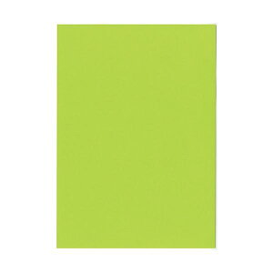 kzR[|[V IB̐F㎿ A3 T  ݂ǂ 1 i400F100×4j v^ PCTvCEՕi Rs[pEp Rs[p Rs[  v^p