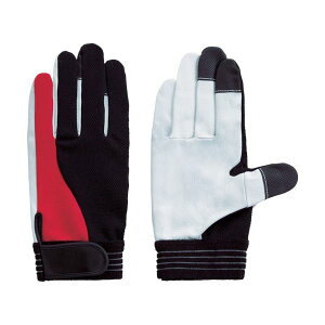 xmO[u Hp  O[u tWO[u Ɩp TG-305 LL c[gObv 3648 1o y×5Zbgz yp ܂Ƃߔ  Zbg̔z i |pi [Epi G