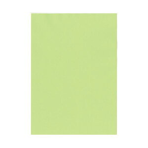 kzR[|[V IB̐F㎿ A4 Y   1 i800F100×8j v^ PCTvCEՕi Rs[pEp Rs[p Rs[  v^p