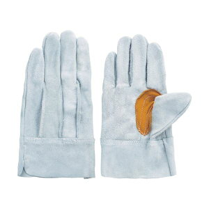 xmO[u Hp  O[u tWO[u Ɩp #60 1715 1o y×5Zbgz yp ܂Ƃߔ  Ɩp  Zbg̔z i |pi [Epi G 