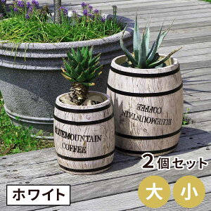 R[q[o 召2g CB-233040NS-WHT ؐ R[q[ coffee M o v^[ Aؔ  P S~ fBXvC BOX a25cm 35cm