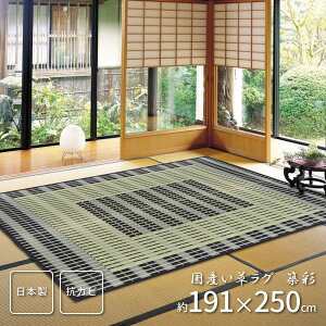 �y ���{�����O �������O �z ���R�f�ރ��O�i���\��j �z�ʁi���������j 191×250cm���{�����������O ���Y�������O ���{�� ���Y ���Y�����i �a���X�^�C�� �a���_�� �����X�^�C�� ���L �h�� �h�J