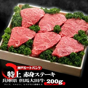  䒆   Mtg Xe[L Xe[L Mtg  Ԑg Xe[L Anci󏭕 }V,v ܂j2200g (1100g)}c  Xe[L a5 a Xe[