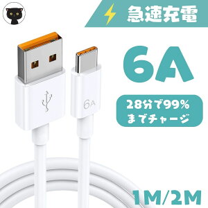 yP20{I܂ȂIz6A[d } iPhone [dP[u ^CvB [dP[u Type-C P[u ^CvC [dP[u pr Ή fh~ appleP[u USBP[u [dR[h lightn