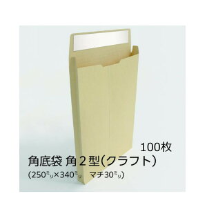 yzC / p2^i}`30mmj Ntg 120g e[vt p\ 100 [BK21020P]