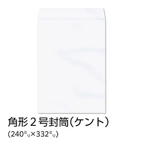 yzC / p2 Pg 100g n gȂ TCh\ 500 [K2SV20]