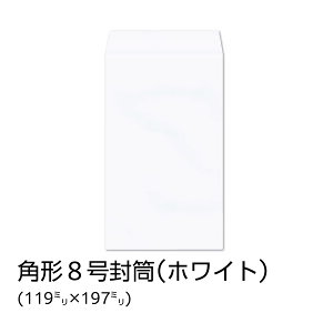 yzC / p8 zCg 100g n gȂ TCh \ 1000 [K8S120N]
