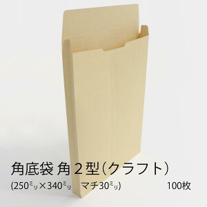 yzC / p2^i}`30mmj Ntg 120g p\ 100 [BK21020N](BK2-1020N)