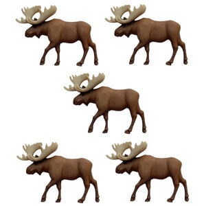 AJ {^ K[A [X42mm 5  wWJ {^ GN ~ X NX}X giJC s` 