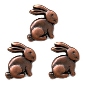 tX {^ 肤 Rbp[F 3 AH e  ct  w  vX`bN ̎q rbgoj[ C[X^[