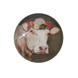 WVN{^ q Ԋ̋ JK  q _ q AvX Ay [bp re[W AeB[N AJVJ