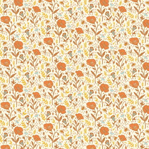 AJ Birch vg t@ubN  The Wild Coast |s[  ~co` t[ I z z  Hq JbgNX ؂蔄 n |v