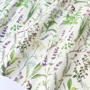 hCc acufactum vg ny20cm؂蔄zn[u u V[`O z z A     t@ubN  Rbg