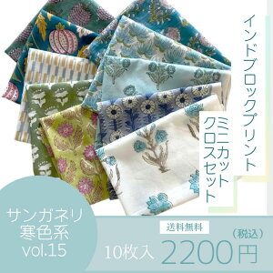 Ch ubNvg n ~j JbgNX 10 Zbg Fn vol.15 t@ubN  ͂ e z z [؂ t[   n Rbg 100%