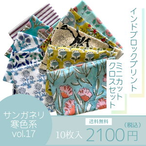 Ch ubNvg n ~j JbgNX 10 Zbg Fn vol.17 t@ubN  ͂ e z z [؂ t[   n Rbg 100%