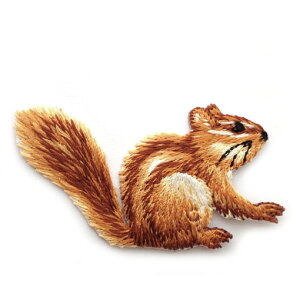 AbvP by ܂肷 UI Il  Aj} ACڒ  w  ȌIl@`bvN@X