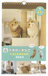 2022NYƂȂ/2022NǊ|J_[(AM130-85)/L/}`J/킢/wXeCt/ɂɒl܂(takuhai)