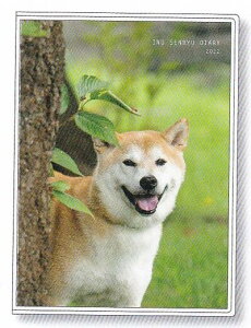 犬川柳 カレンダーの人気商品 通販 価格比較 価格 Com