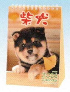 2026NXcėYE܂邲ƎČJ_[(26ACL-543)(935437) ΂ ANeBuR[|[V (mail 190)