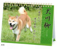 9月中旬入荷予定 予約商品 2027年卓上カレンダー 犬川柳 165.犬川柳(卓上) (1000140845) (204493) アート…