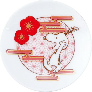 Xk[s[/M(~)(SN2101-333)(220429)/9cm/PEANUTS/RX/Vi(mail 290)