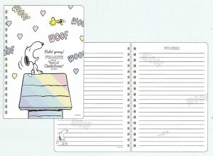 Xk[s[ m[g[B6] (PS25-1) (307716) zCg 2025 SPRING Feelin' groovy! XNGA (mail 190)