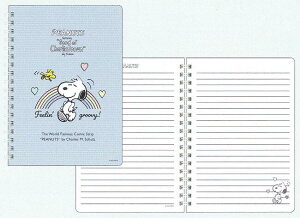 Xk[s[ m[g[B6] (PS25-2) (307723) u[ 2025 SPRING Feelin' groovy! XNGA (mail 190)