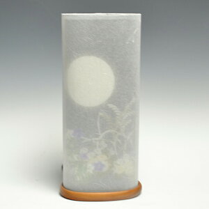 ~ ~傤 ~ _ ~jTCY _^Cv aƓ  ~傤   䋟  ~ V~ V~