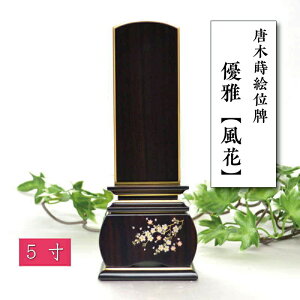 ʔv _    _ʔv  D  h 3 3.5 4 4.5 5   T[rX d 