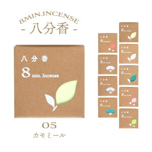 y|Cg10{ 11/14`11/16z ~j  IX  J~[ Pi 30{ [CZX bNX  J Mtg v[g ybg