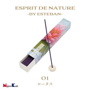 y|Cg10{ 11/20`11/27zGXeo ESTEBAN  GXvhi`[ [^X Pi 40{ { [CZX @ nX Mtg v[g 