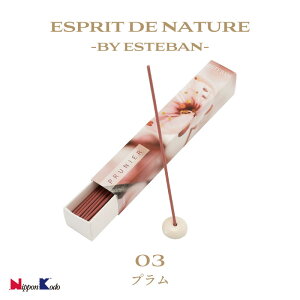   { GXeo GXvhi`[ v Pi 40{ [CZX ̓ ̓ Mtg v[g