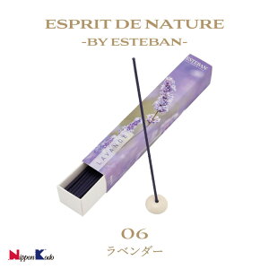 y|Cg10{ 11/20`11/27z  { GXeo GXvhi`[ x_[ Pi 40{ [CZX Mtg v[g