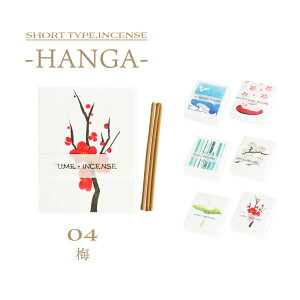  CZX XeBbN ʓ HANGA nK ~ 20g 90{ ÂW ~̍ A}   CeCA  [CZX Q rO tbV bNX 