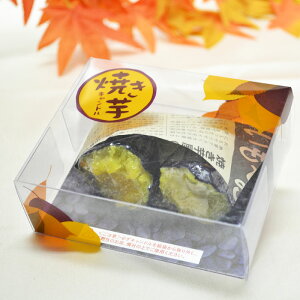 J} [\N Ă Lh ̊Ât ̐l̍DV[Y ފ   Mtg