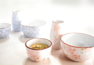  ~j 3_Zbg Lc ȋF ԗ F Η Cat Dog 炵  O ybg _ 㕧 茳{ RpNg