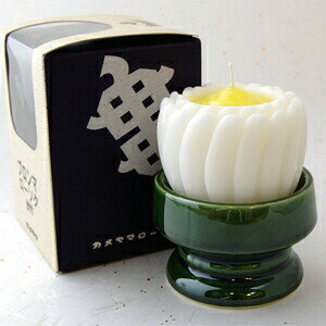 J} [\N t u} [\N RĎ 16  p hЗp E\N 낤 XC  ފ ~