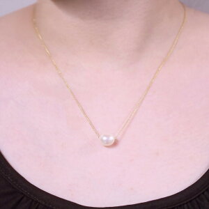 Wp[ ꗱ lbNX lR|X  Vv Mtg a v[g 蕨