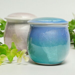 y|Cg5{ 11/11܂ł}\z ~j Y  2.5 J  ~j u[/sN 茳{ A   p[\i{ d  _