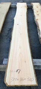 YO@tC@߂3000×36×310~@NO.12-7Ђ̂/V/I/e[u/JE^[