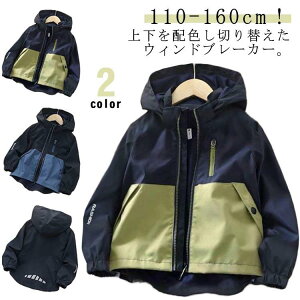 }Eep[J[ LbY j̎q zF WPbg h  WbvAbvp[J[ t[ht AE^[  EChu[J[ bV 