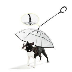 ybgpP LpP pP Lbg hbO ybgpi CObY Au pP J J̓ɎU [hڑ `F[t  ~鎞p Lp ^ ^