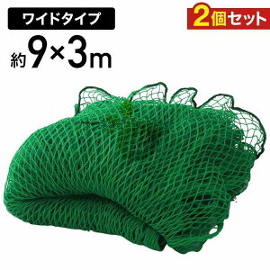 hlbg 3m 싅 oXP TbJ[ St   싅lbg 2 3m×9m OtFXlbg obNlbg z[lbg obeBOlbg