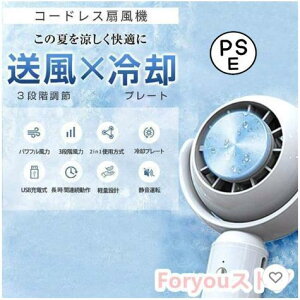 nfBt@ p É @ ^ pv[g uԗp nfB╗@ 莝@ 2025 ~j╗@ g  USB[d 3iK MǑ΍ AEghA