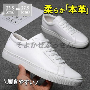 IbNXtH[hV[Y Y JWA v EH[LO C {v Xj[J[ AEghA ʊw ʋ zCg  am  t H